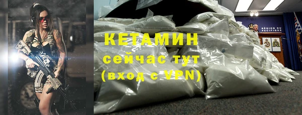 гашик Туринск