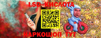 шишки Кандалакша