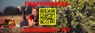 MESCALINE Камышлов