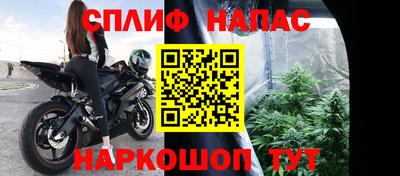 шишки Кандалакша