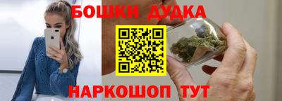 шишки Кандалакша