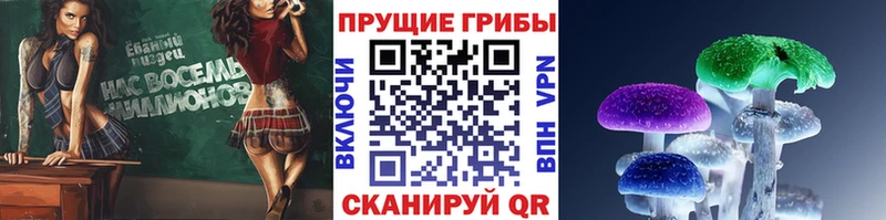 Псилоцибиновые грибы Psilocybine cubensis купить наркотик blacksprut ссылка Туймазы