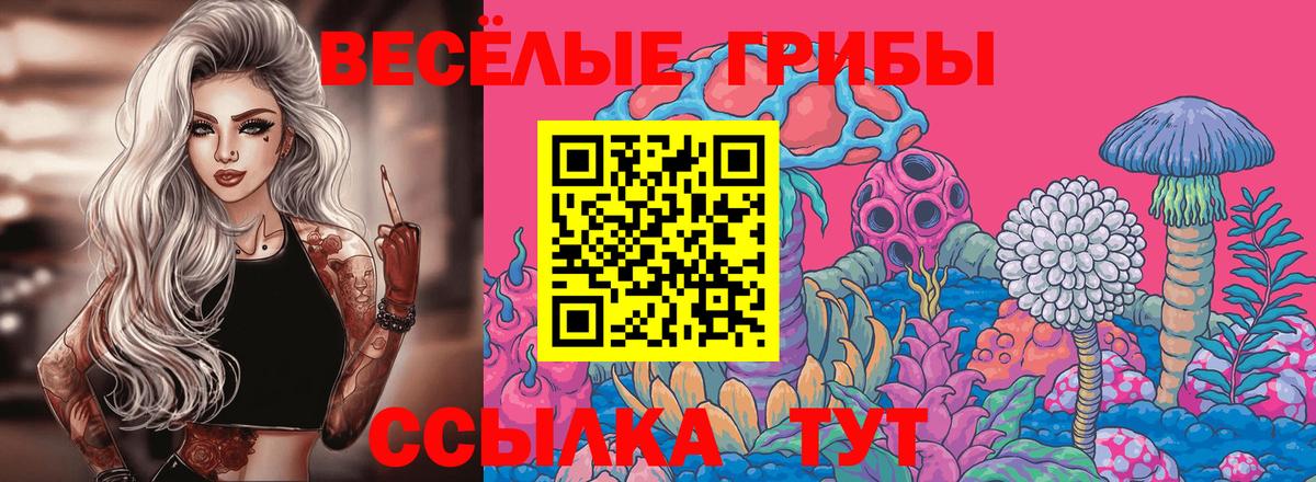 Псилоцибиновые грибы Magic Shrooms  Туймазы 