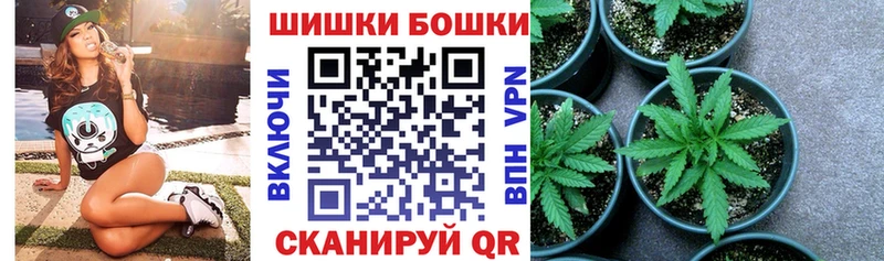 Бошки марихуана индика закладки Туймазы